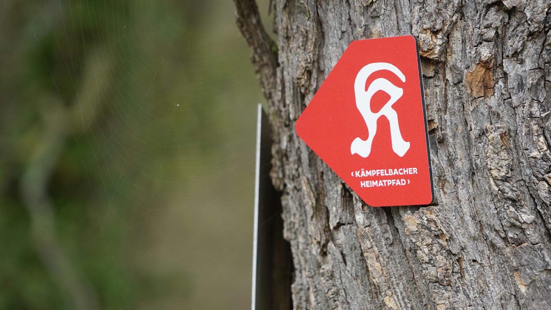 Kämpfelbacher Heimatpfad
