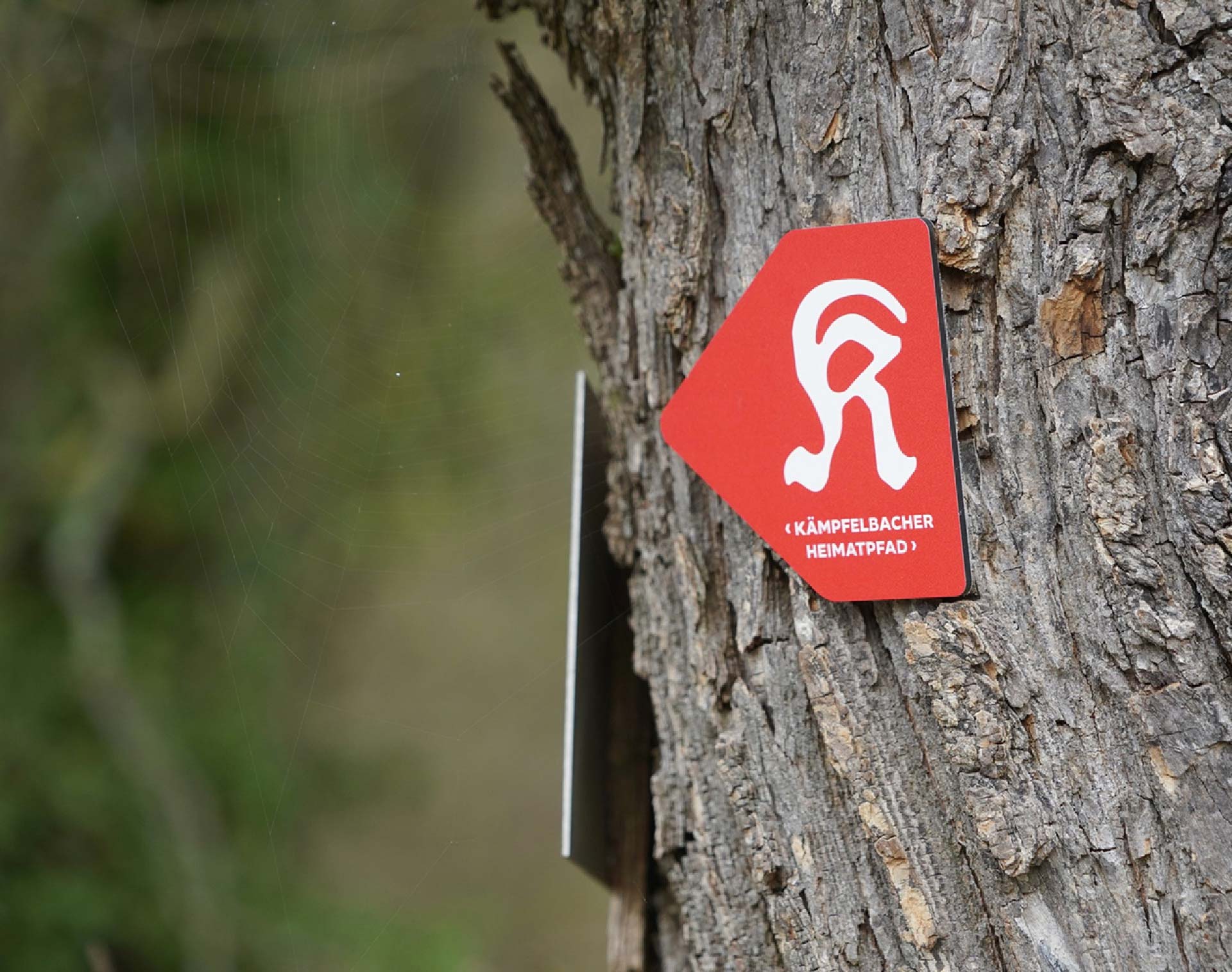 Kämpfelbacher Heimatpfad